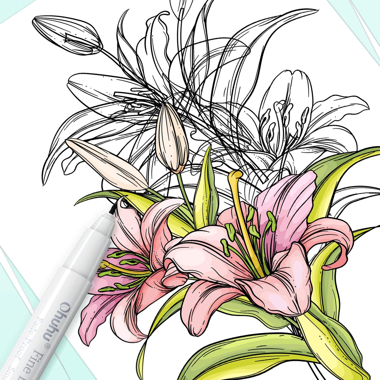 OHUHU 8 liners pour le dessin